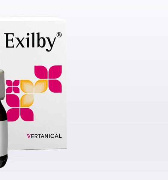 L'Exilby van Vertanical