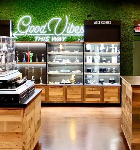 De kiezers in Massachusetts willen dat cannabis legaal blijft